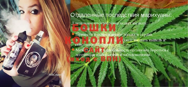 МДПВ Краснослободск
