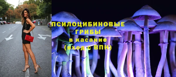 МДПВ Краснослободск