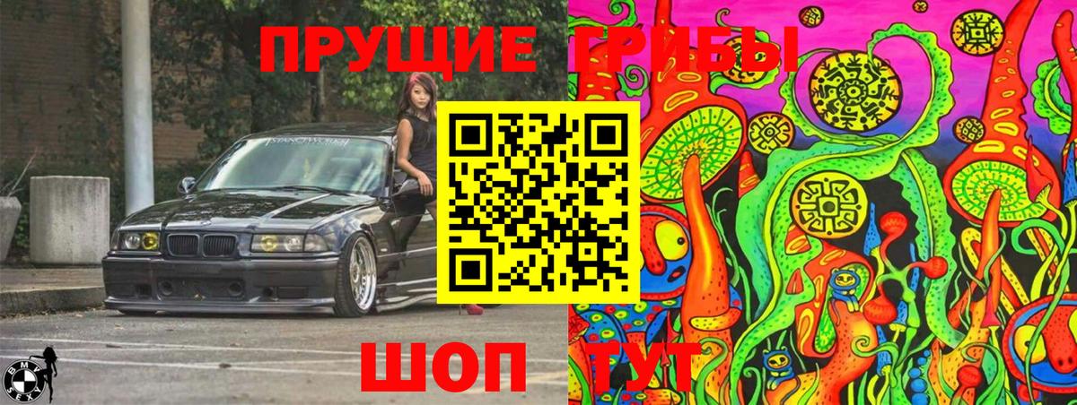 Псилоцибиновые грибы Psilocybe  Вход с VPN  Надым  Галлюциногенные грибы прущие грибы 