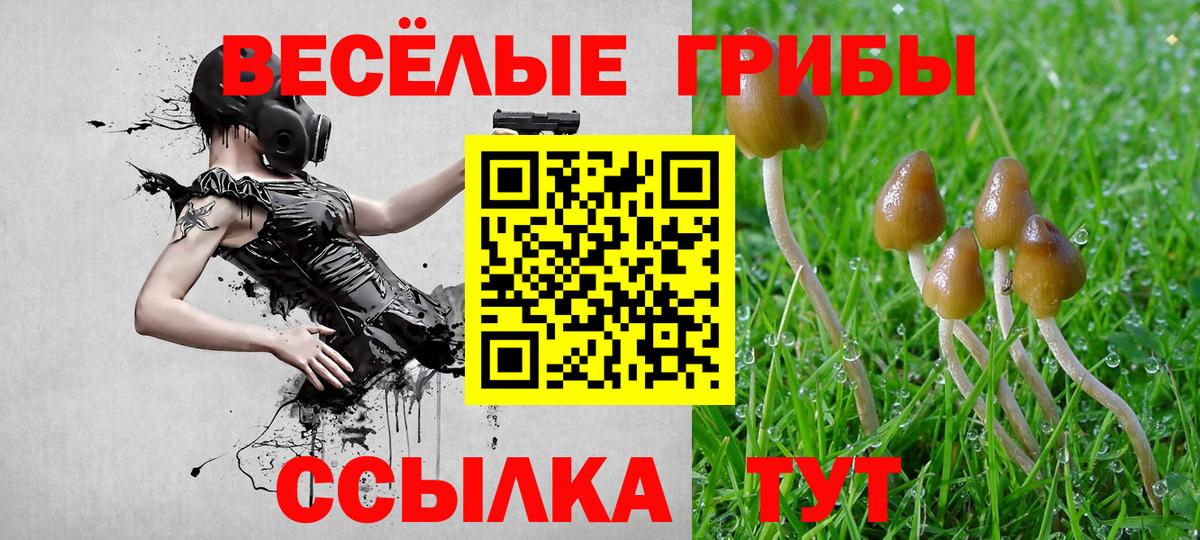 МДМА  Меф МЯУ МЯУ кристаллы  Бошки Шишки  Кокаин  Alpha PVP СОЛЬ   МЕФ кристаллы  NBOMe  Надым  Cocaine  ГАШ 