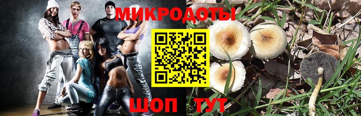 Псилоцибиновые грибы мицелий  как найти закладки  Надым  Псилоцибиновые грибы GOLDEN TEACHER 