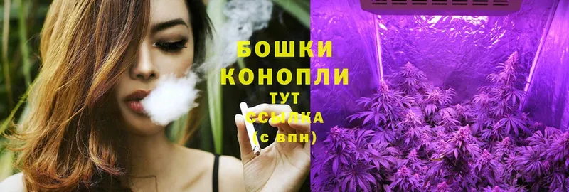 продажа наркотиков  Надым  Бошки марихуана THC 21% 